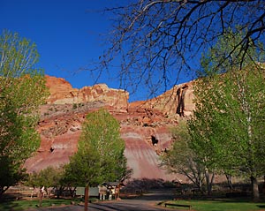 Cohab Canyon, Capitol Reef