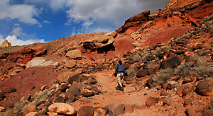 Cohab Canyon, Capitol Reef
