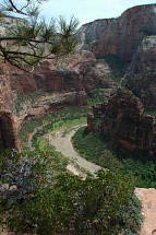 Virgin River im Zion Canyon