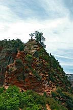Die letzte anstrengende Etappe auf dem Weg nach Angels Landing