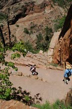 Serpentinen auf dem Weg zu Angels Landing