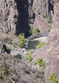 Gunnison River