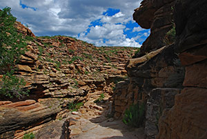 Passage des Garden Creek auf dem Bright Angel Trail August 2010