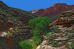 Blick vom Bright Angel Trail hinauf zum South Rim August 2010