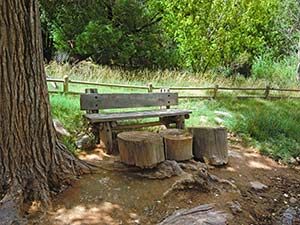 Schattiges Pltzchen im Indian Garden auf dem Bright Angel Trail August 2010