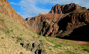 Panorama vom River Trail im Grand Canyon August 2010