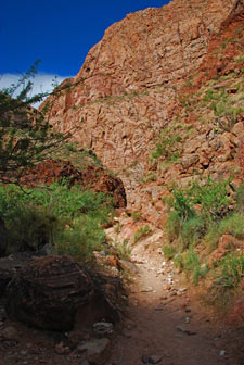 Der letzte Schatten am Bright Angel Trail August 2010