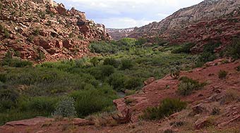 Calf Creek Valley