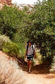 Auf dem sandigen Weg zu den Calf Creek Falls