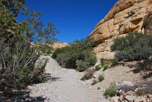 Am Anfang der Wanderung zu den Calico Tanks