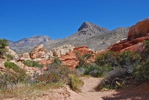 Im Hintergrund der Turtlehead Peak