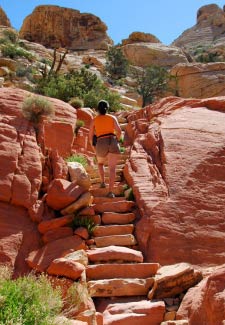 Naturtreppe