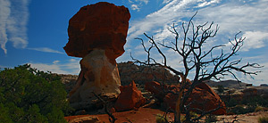 Cohab Canyon, Capitol Reef