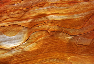 Cohab Canyon, Capitol Reef