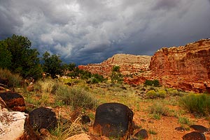 Cohab Canyon, Capitol Reef