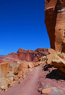 Cohab Canyon, Capitol Reef