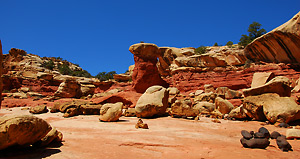 Cohab Canyon, Capitol Reef