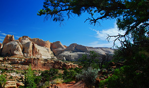 Cohab Canyon, Capitol Reef