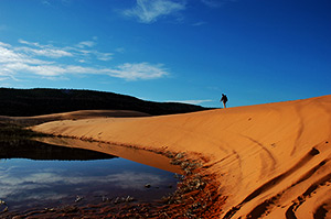 Coral Pink Sand Dunes