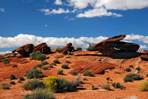 Kurz vor der Abbruchkante auf der linken Seite des Horseshoe Bend