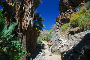 Andreas Canyon, Indian Canyons, Palm Springs