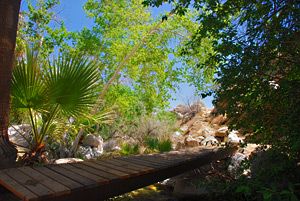 Andreas Canyon, Indian Canyons, Palm Springs