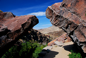 Indian Canyons, Palm Springs