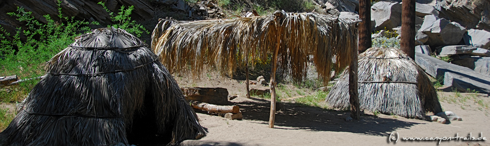 Palm Canyon, Indian Canyons, Palm Springs