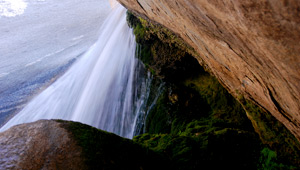 Wasserfall, Indian Canyons, Palm Springs