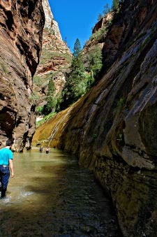 Mystery Falls, The Narrows, Riverside Walk, Zion Canyon