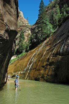 Nystery Falls, The Narrows, Riverside Walk, Zion Canyon