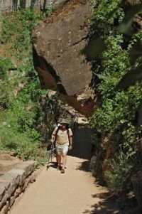 Riverside Walk, Zion Canyon