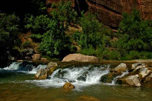 Riverside Walk, Zion Canyon