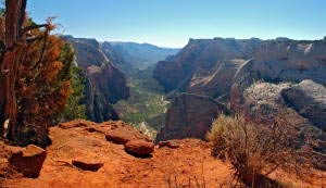 Panorama des Zion Canyon vom Observation Point