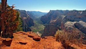 Observation Point, Zion, Utah