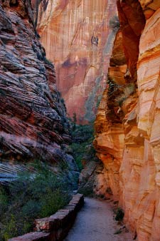 Weg zum Observation Point