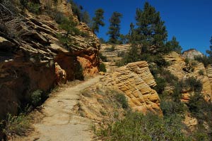 Schroffe Felsen auf dem Weg zum Observation Point