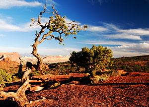 Sunset-Point, Capitol Reef