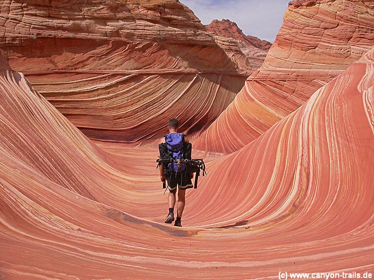 The Wave Highlight In Den Coyote Buttes North