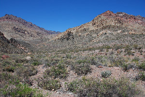 Die Grapevine Mountains aus der Ferne