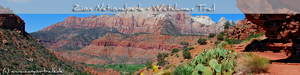 Zion Watchman Trail