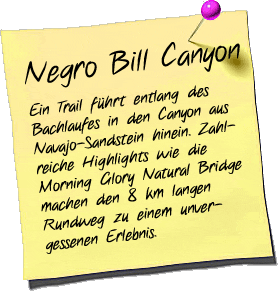 Negro Bill Canyon